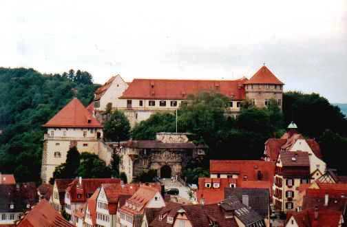  Schloss Hohent�bingen