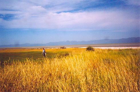 Weites Vogelschutzgebiet