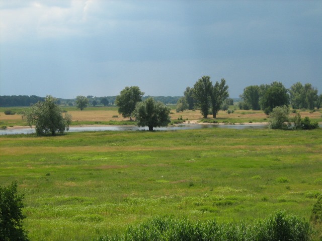 Faule Br�ck-Wiesen