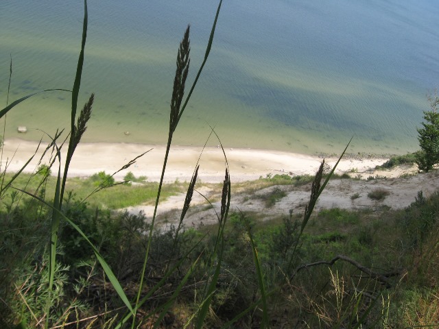 Steilk�ste Gosanberg